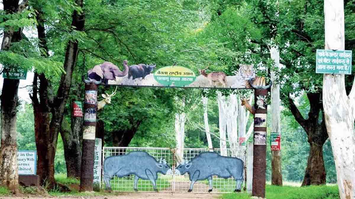 betla-national-park-closed-betla-national-park-to-remain-closed-until-september-30-find-out-the-reason