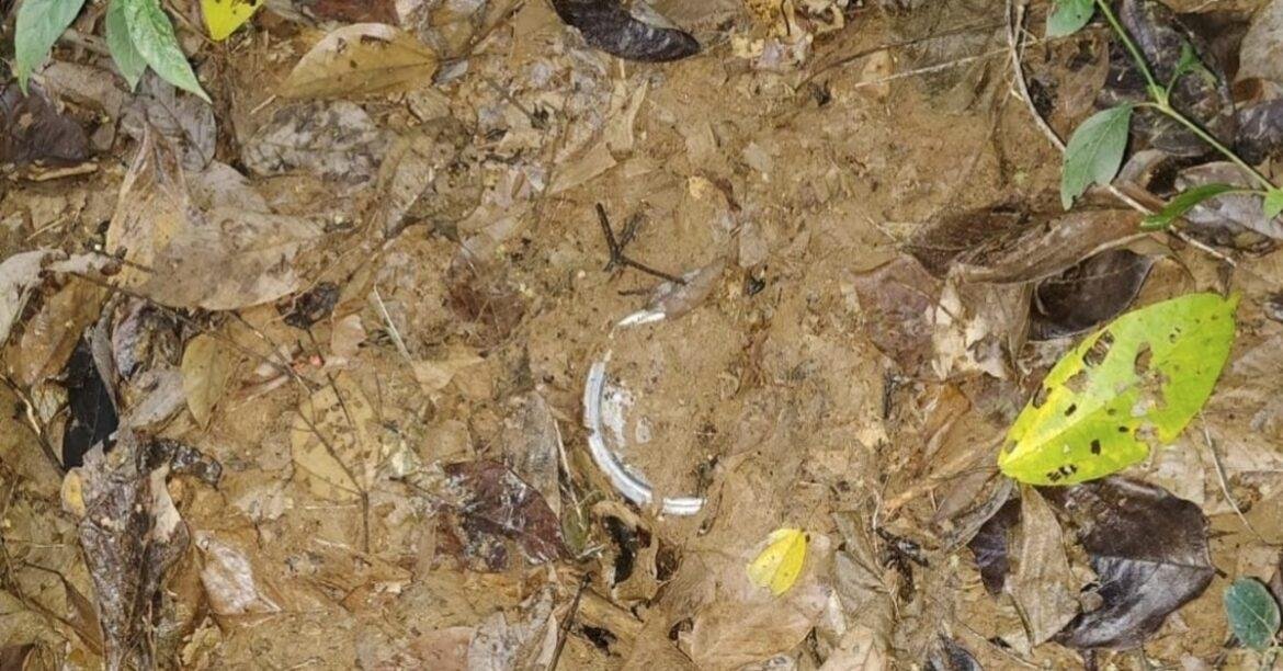 two-powerful-ieds-recovered-and-defused-during-anti-naxal-operation-in-saranda-forest